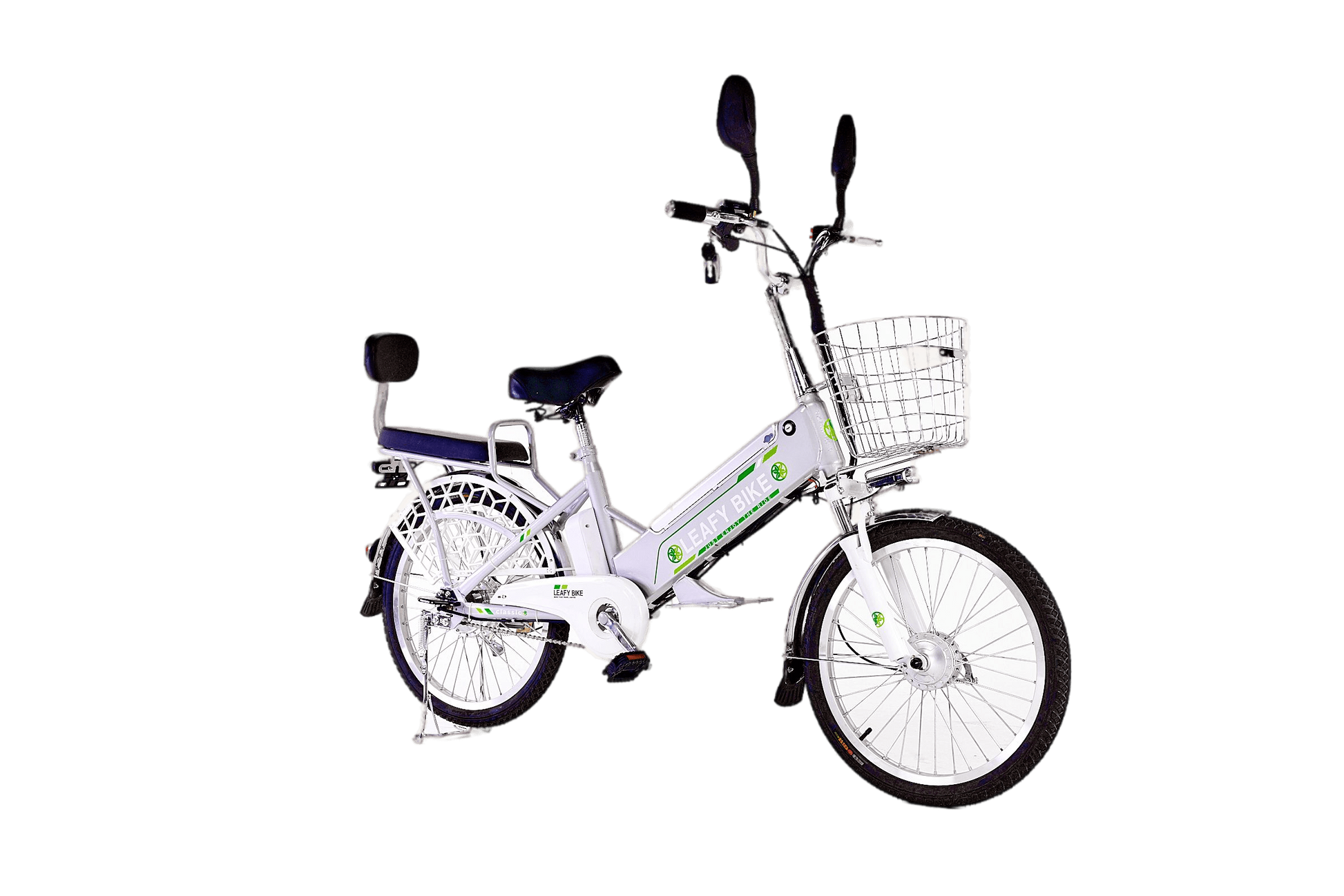 Leafy Stone Dual-Rider Electric Bike – 20 MPH, 30-Mile Range - Leafybikes